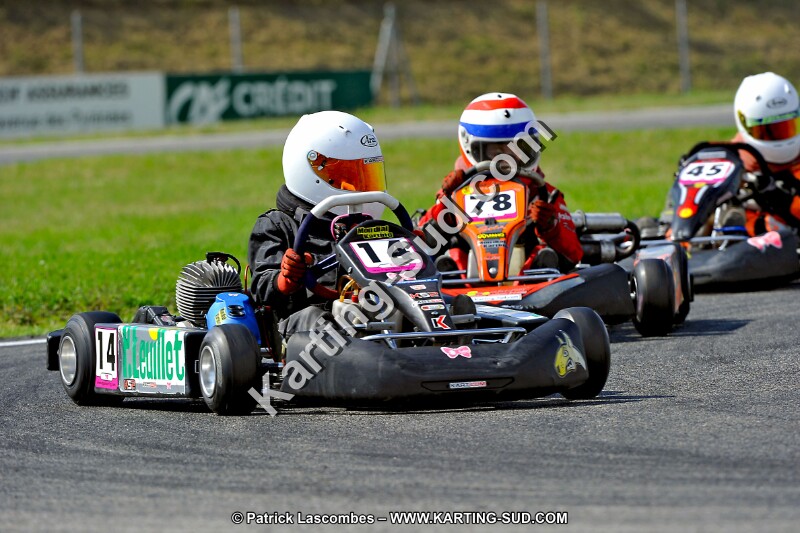 DSC_ (685).jpg